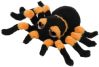 Orange edderkop - lille - icon