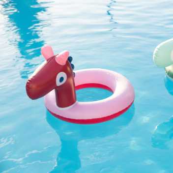 Swim ring with a head - horse