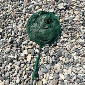 Telescopic fish net - dark green 