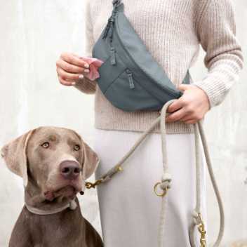 Godbidstaske, bumbag - Emma