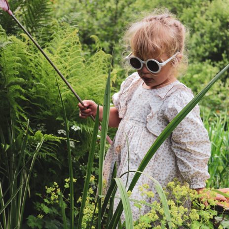 Model Craspedia - Flower White