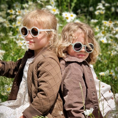 Model Craspedia - Flower White - 2